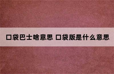 口袋巴士啥意思 口袋版是什么意思